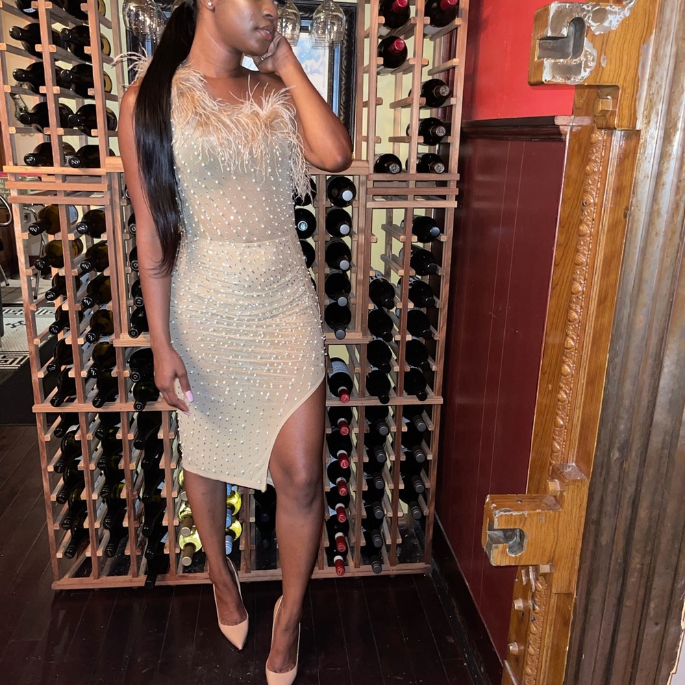 Feather Mid Dress